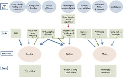 Testing the Specificity of Predictors of Reading, Spelling and Maths: A New Model of the Association Among Learning Skills Based on Competence, Performance and Acquisition